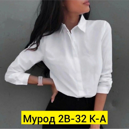 Рубашка - 2ZZ0Z202