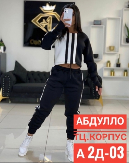 Костюм двойка ZFVFJK23