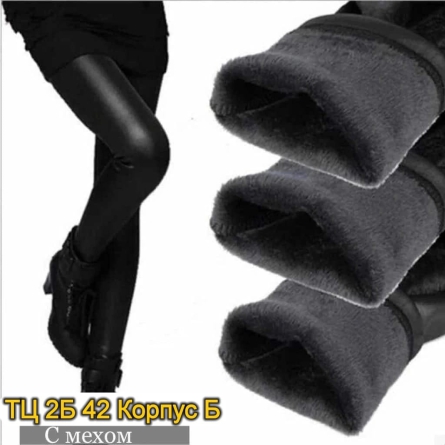 Лосины - 2Z920V03