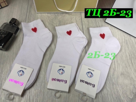 Носки - F4F20241