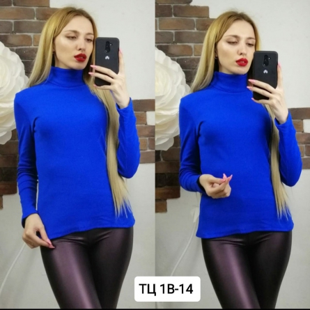 Водолазка - 442F4208