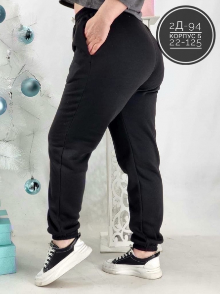 Штаны - F4KZF906