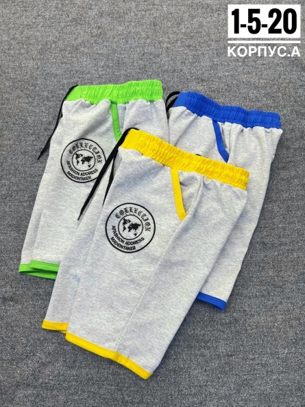 Шорты - FK212493