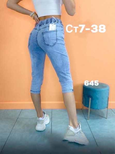 Бриджи - 0VF4ZF12