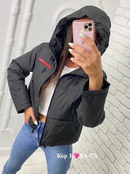 Куртка - Z49F9VF2