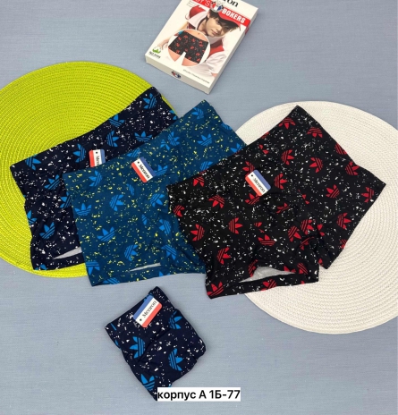 Трусы - 0V1494Z3