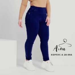 Джеггинсы 20ZF21K2