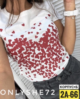 Футболка 4V0J29J2