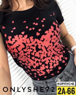 Футболка 494J1404