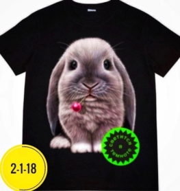 Футболка KKVZ0F92