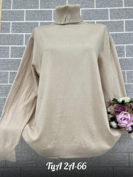 Водолазка 22JKJ413