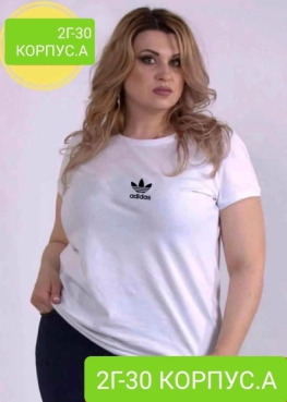 Футболка FZ24ZZ48