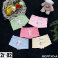 Трусы - 192ZJK42